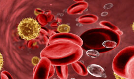 98d37a8f808b327bcdbaea2755a796e3