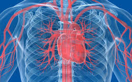 Аорто-ассоциированные осложнения в кардиохирургии