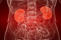 туберкулез мочеполовой системы